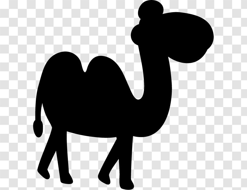 Black & White - Silhouette - M Clip Art Snout Camel Transparent PNG
