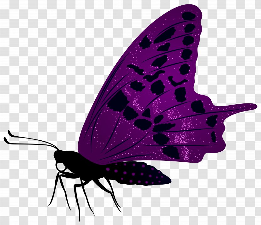 Butterfly Purple Clip Art - Moth - Large Image Transparent PNG