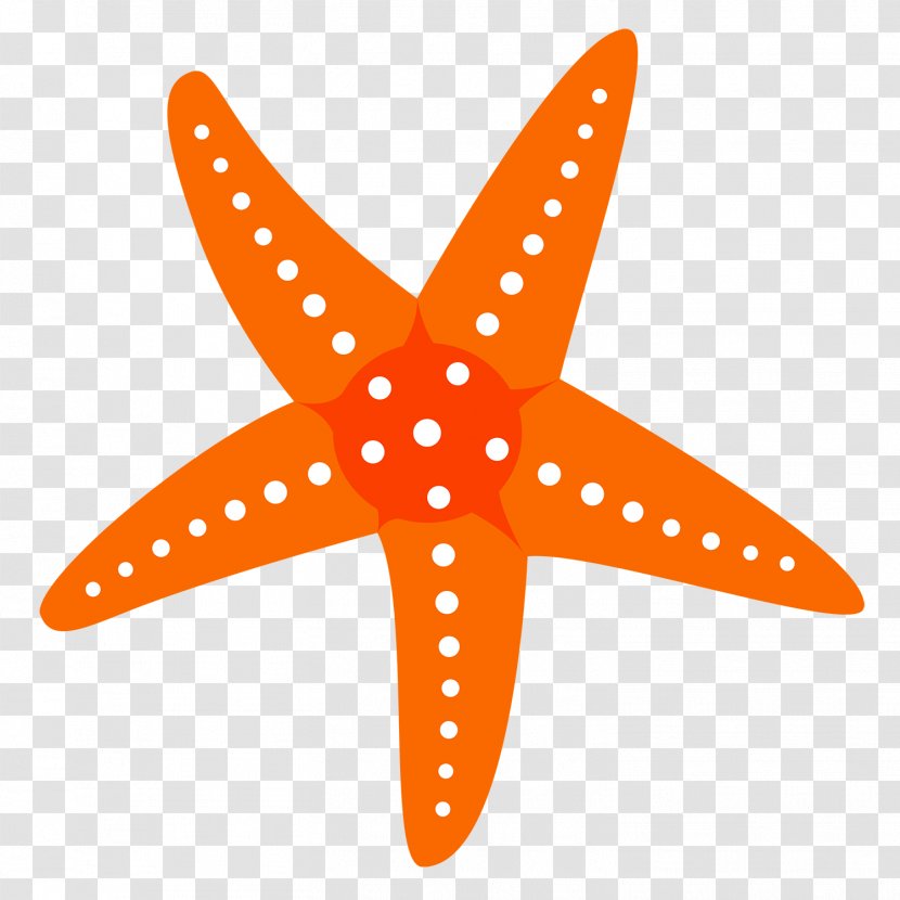 Starfish Paper Sticker International Space Station Clip Art - Organism Transparent PNG