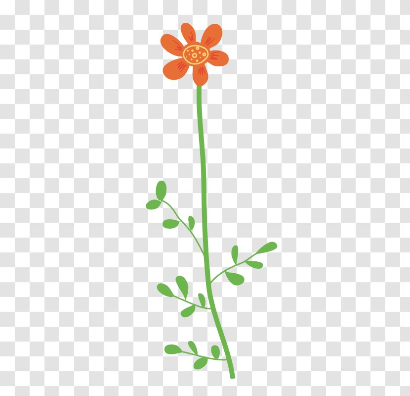 Flower Petal Drawing Clip Art - Flowering Plant Transparent PNG