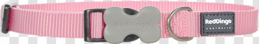 Dingo Dog Collar Puppy - Brand - Red Transparent PNG