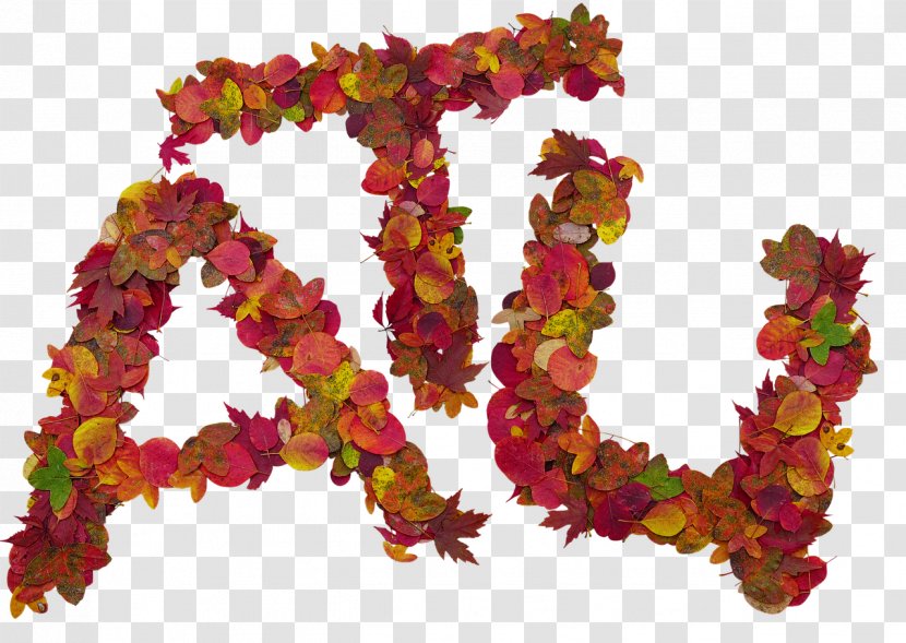 Leaf Letter Photography Autumn Font - Petal Transparent PNG