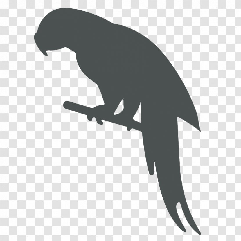 Parrot Bird Silhouette Clip Art Transparent PNG