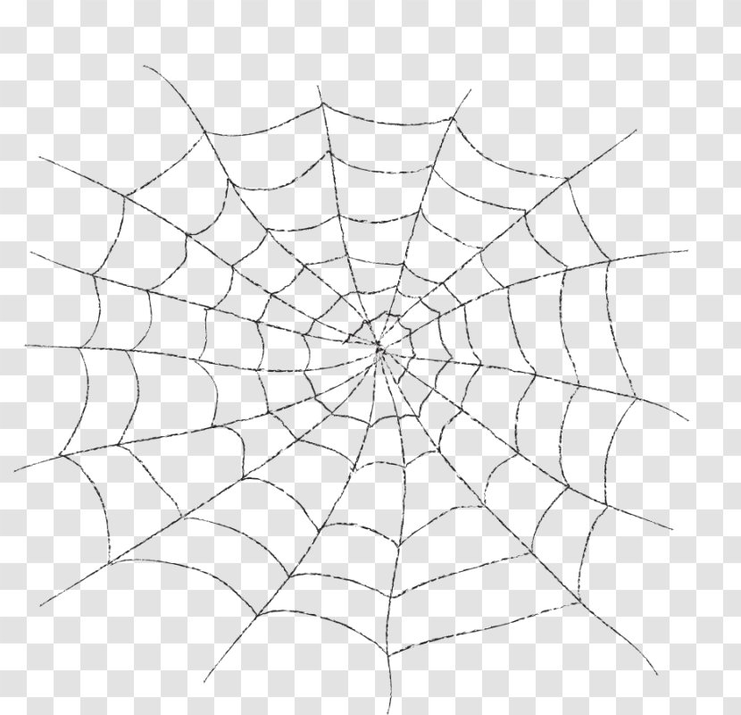 Spider Web Clip Art Line Geometry - Point Transparent PNG