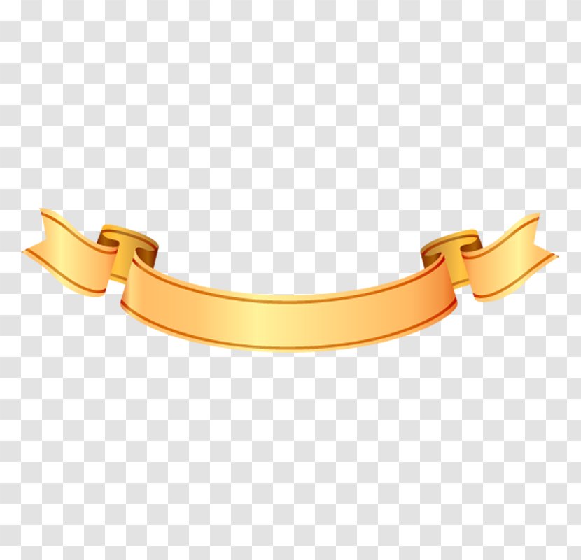 Orange - Bracelet - Belt Necklace Transparent PNG