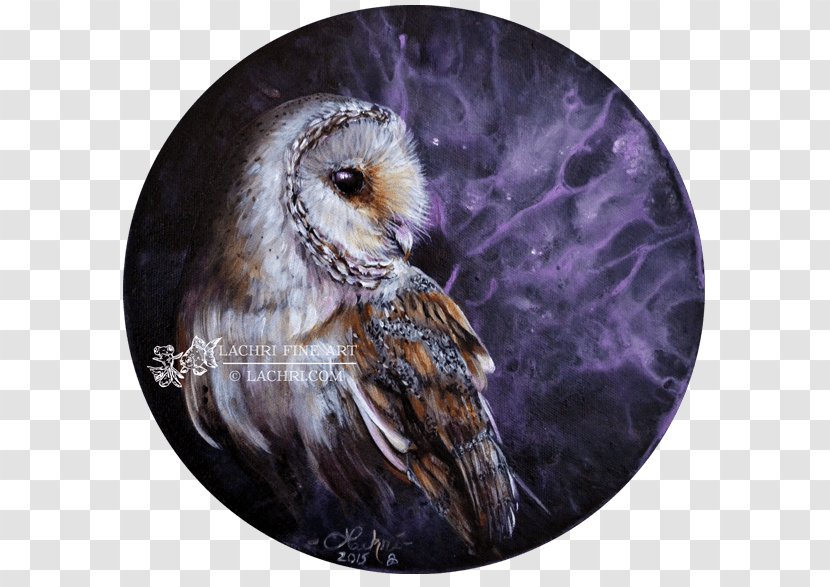 Barn Owl Bird Painting Oil Paint - Abstract Art - Watercolor Transparent PNG