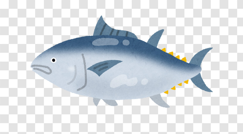 Fish Fish Fin Albacore Fish Thunnus Transparent PNG