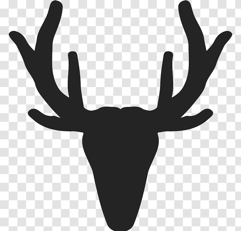 Red Deer Elk White-tailed Reindeer - Whitetailed - Silhouette Antler Transparent PNG
