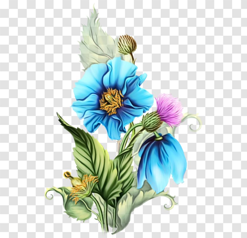 Clip Art Watercolor Painting Flower - Wildflower - Plant Transparent PNG
