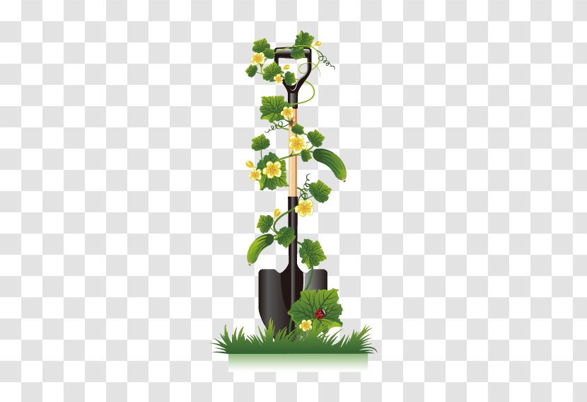 Cucumber Vine Clip Art - Garden - Shovel Transparent PNG