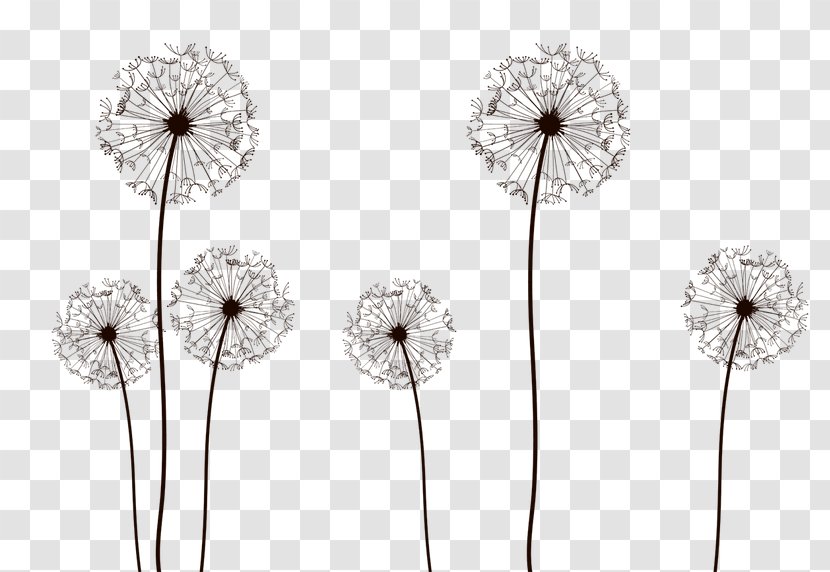 Desktop Wallpaper Drawing Display Resolution - Silhouette - Dandelion Vector Transparent PNG