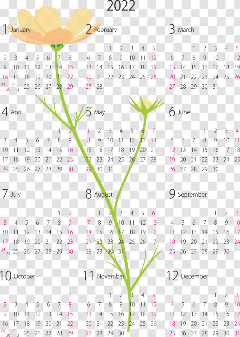 2022 Yearly Calendar Printable 2022 Yearly Calendar Transparent PNG