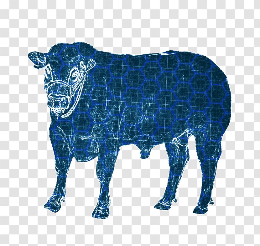 Dairy Cattle Taurine Ox La Garita, Jalisco Spanish Fighting Bull - Silueta Toro Transparent PNG