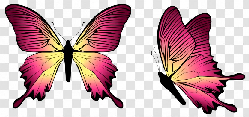 Butterfly Blue Clip Art - Pollinator - Image Transparent PNG