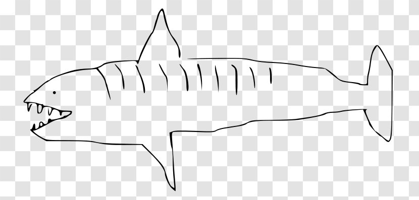 Tiger Shark Wikimedia Commons Foundation Drawing Clip Art - Monochrome Transparent PNG