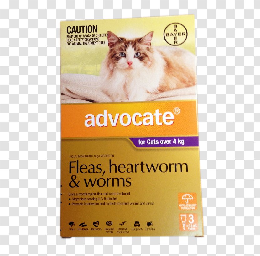 Cat Food Kitten Dog Ear Mite - Pet Shop - Flea Transparent PNG