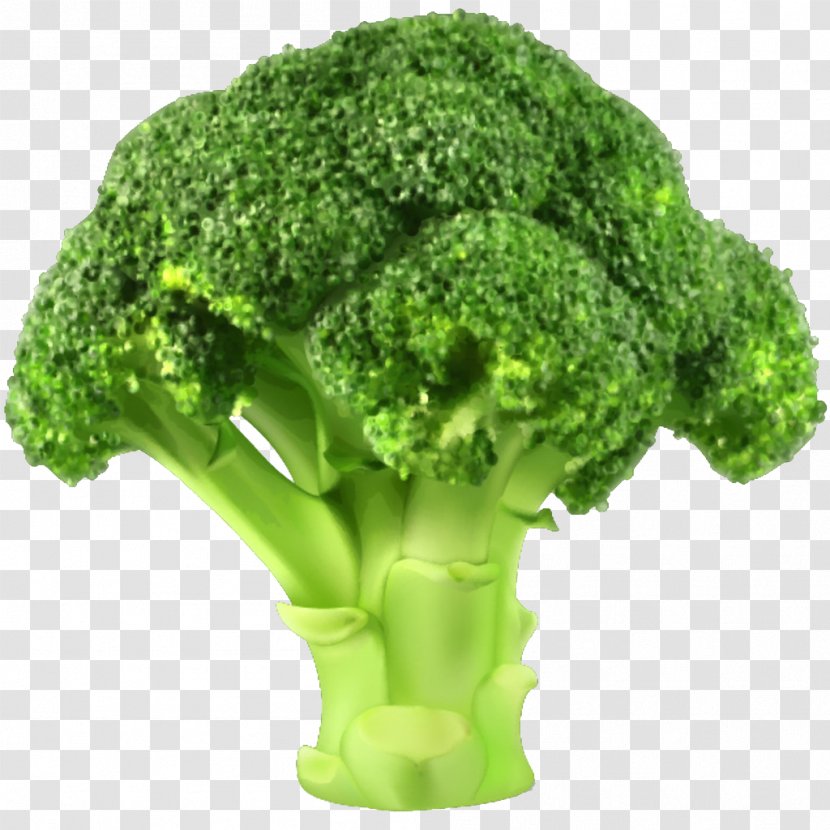 Broccoli Slaw Vegetable Clip Art - A Transparent PNG