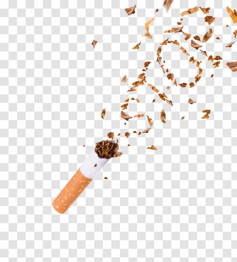 Cigarette Smoking Cessation Tobacco - Silhouette Transparent PNG