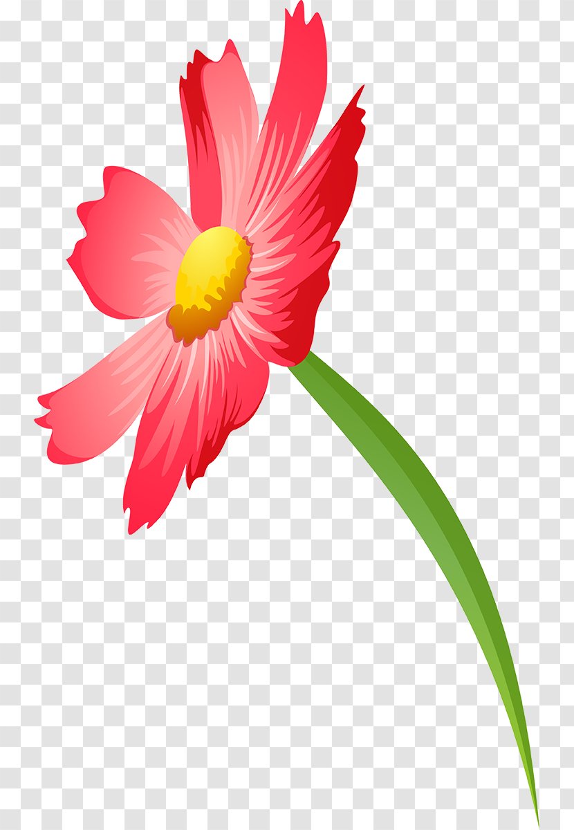 File Format Clip Art Cosmos Cut Flowers - Family - Flower Thumbnail Transparent PNG