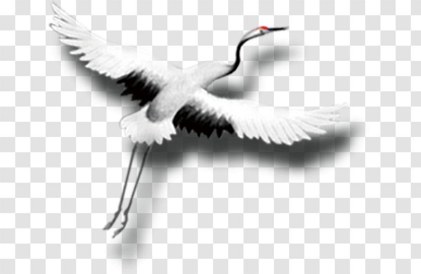 Red-crowned Crane China - Neck - Wind Egret Transparent PNG