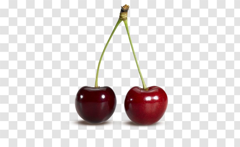 Sour Cherry Picking Fruit - Jus De Cerise Transparent PNG