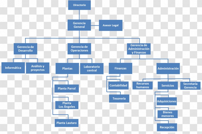 Organizational Chart Empresa Manager Management - Structure - Gram Transparent PNG