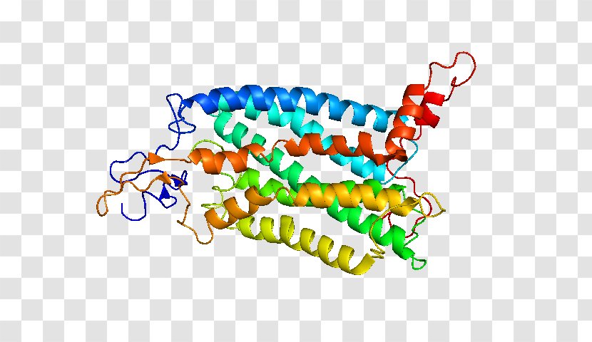 CCR2 CC Chemokine Receptors Monocyte - Ccr5 - Receptor Transparent PNG