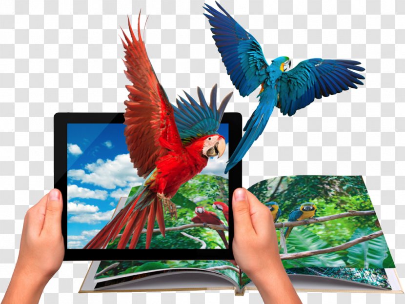 Vuforia Augmented Reality SDK Virtual - Feather - Outdoor Games Abstract Transparent PNG
