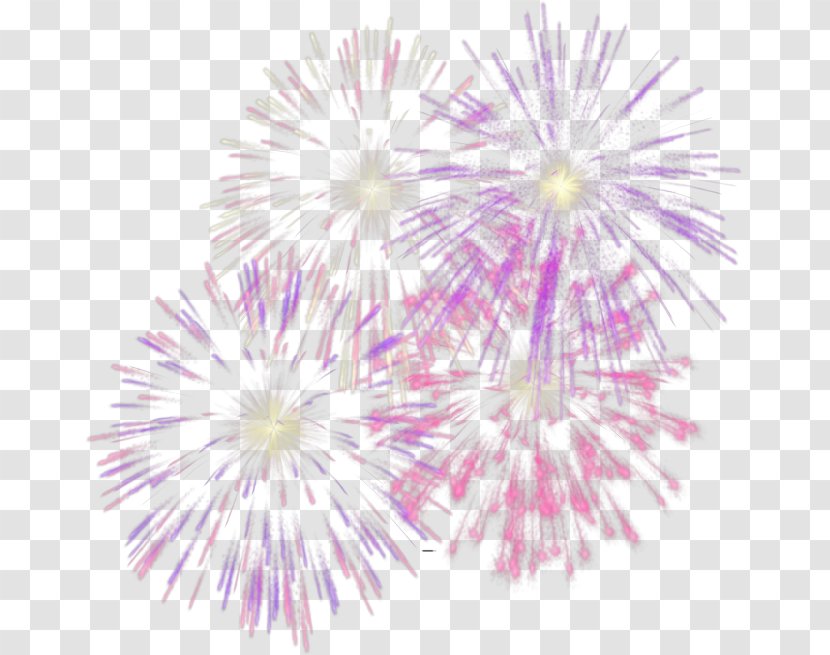 New Year Clip Art - Chrysanths - Cracker Transparent PNG