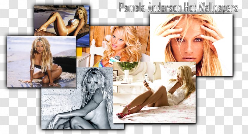 Blond Collage Human Behavior Photomontage Poster - Tree - Pamela Anderson Transparent PNG
