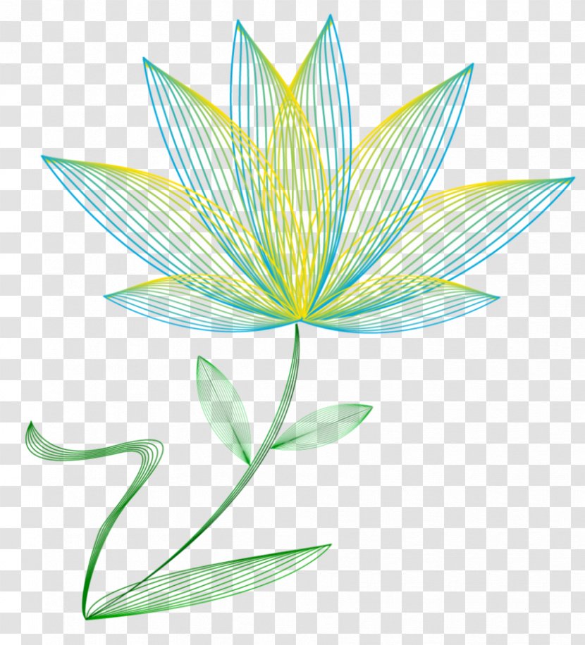 Flower Drawing Plant Stem - Digital Art - Insignia Transparent PNG