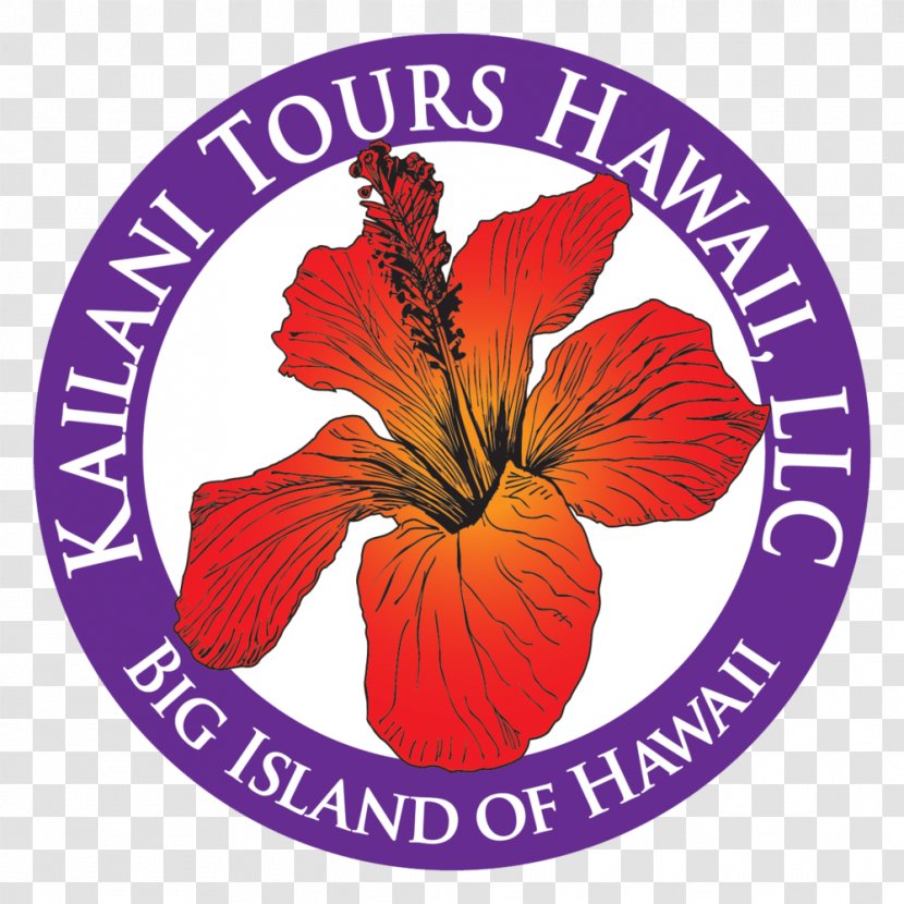 Mauna Kea Loa Kīlauea Kailani Tours Hawaii Volcano - Seed Plant - Dental Medical Equipment Transparent PNG