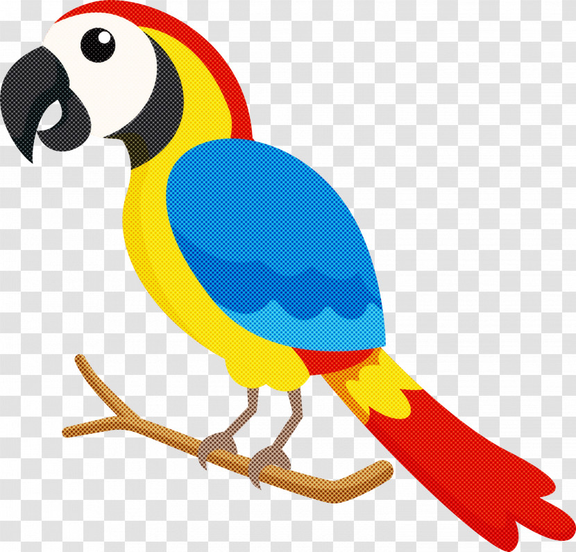 Lovebird Transparent PNG