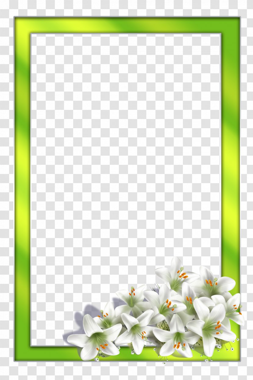 Floral Design Cut Flowers - Green - Leaf Transparent PNG