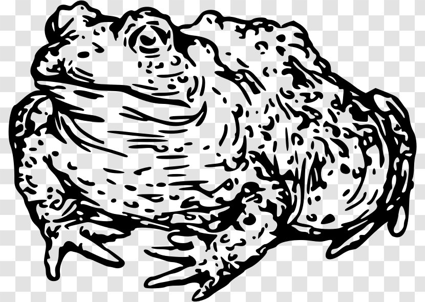Cat Toad Black And White Frog Clip Art - Silhouette Transparent PNG