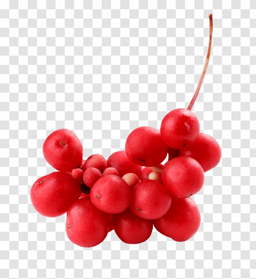Cranberry Five-flavor Berry Zante Currant - Fiveflavor Transparent PNG