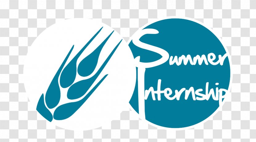 Intern Logo Training Career Brand - Week - Internship Transparent PNG