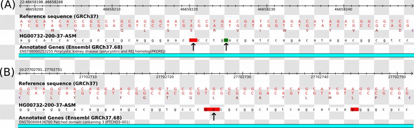 Document Line Point Angle Computer Program Transparent PNG