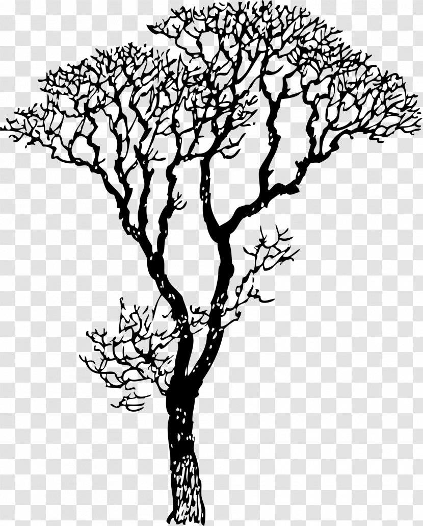 Wall Decal Trunk Tree Branch Transparent PNG