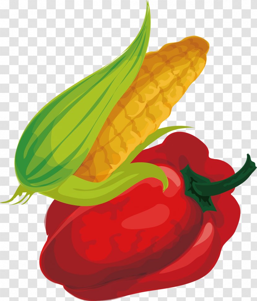 Chili Pepper Cartoon Maize Drawing - Peperoncini - Vector Creative Design Diagram Corn Vegetables Transparent PNG