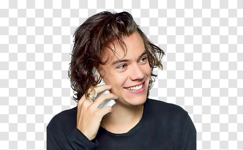 Harry Styles Celebrity Love One Direction - Flower Transparent PNG