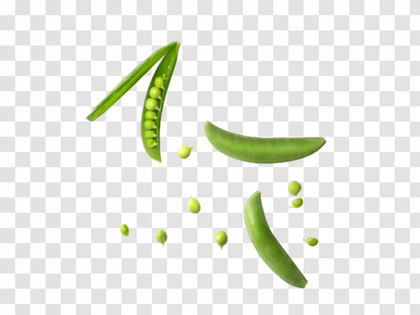 Legume Green Pea Image Vegetable - Leaf - Peas Transparency And Translucency Transparent PNG