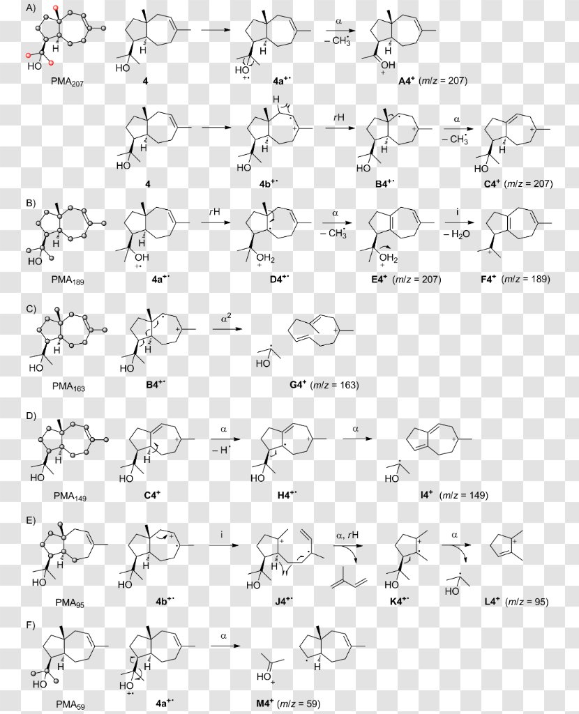 Mass Spectrum Fragmentation Mass-to-charge Ratio Sesquiterpene - Text - Font Transparent PNG