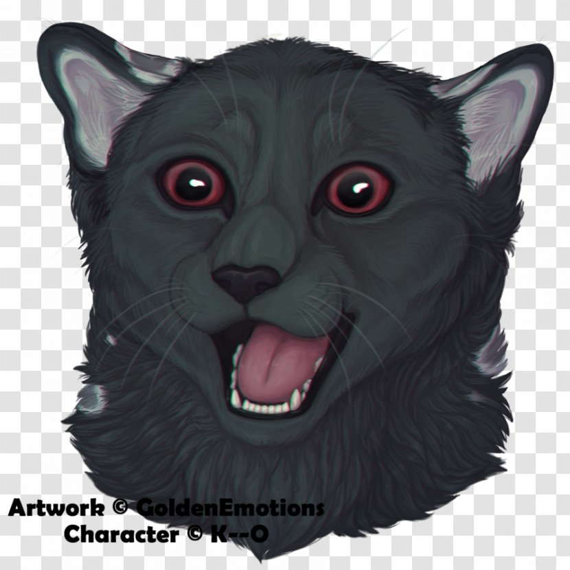 Whiskers Korat Fur Snout Character - Carnivoran - Oh My God Transparent PNG