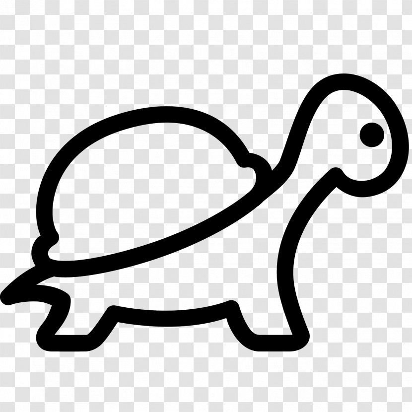 Turtle The Tortoise And Hare Transparent PNG