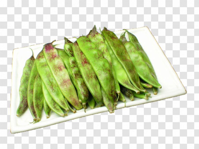 Yardlong Bean Northeast China Common Vegetable - Meat - Oil And Beans Transparent PNG