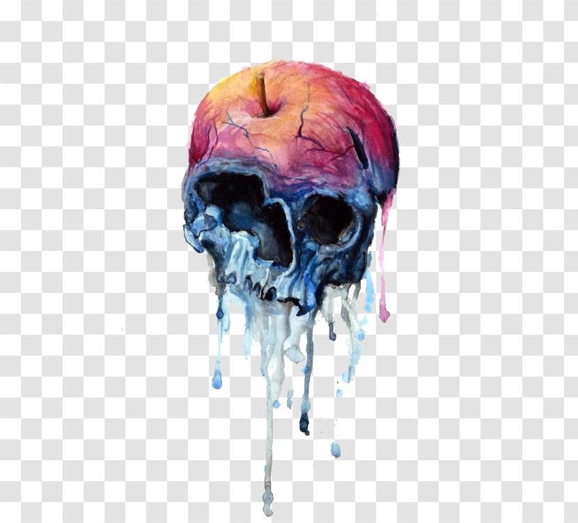 Apple Human Skull Symbolism Drawing Transparent PNG