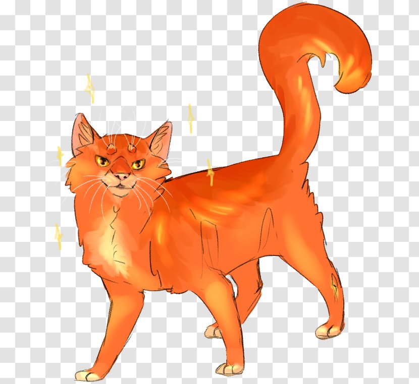 Whiskers Kitten Domestic Short-haired Cat Tabby - Orange Transparent PNG