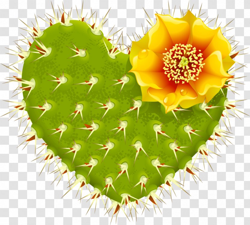 Cactaceae Heart Barbary Fig Thorns, Spines, And Prickles - Flower - Cactus Plant Transparent PNG