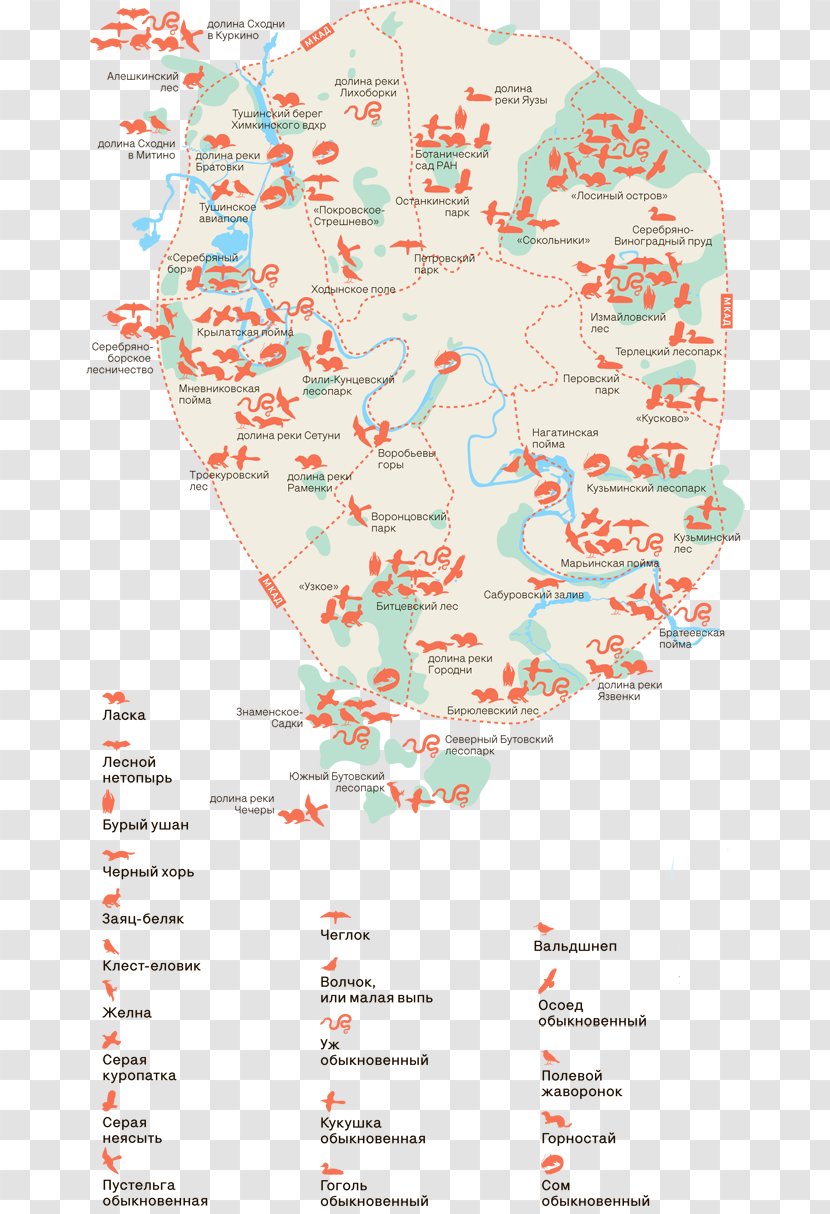 Water Resources Line Point Map Transparent PNG